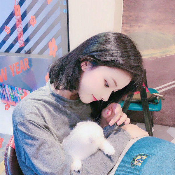 圣诞王子：皇室婚礼